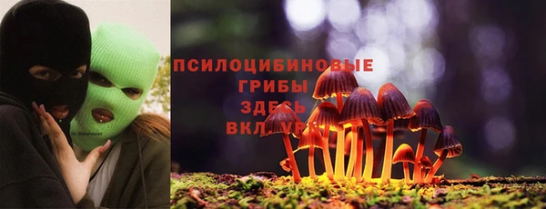 jwh Лиски
