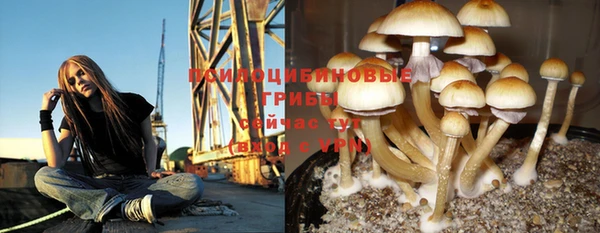 первитин Лихославль