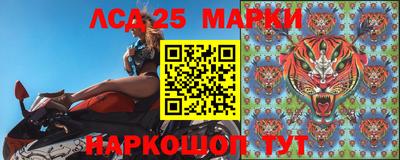 амф Гатчина