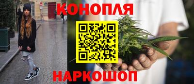 амф Гатчина