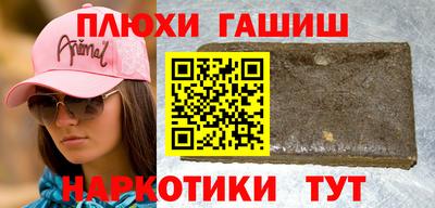 амф Гатчина