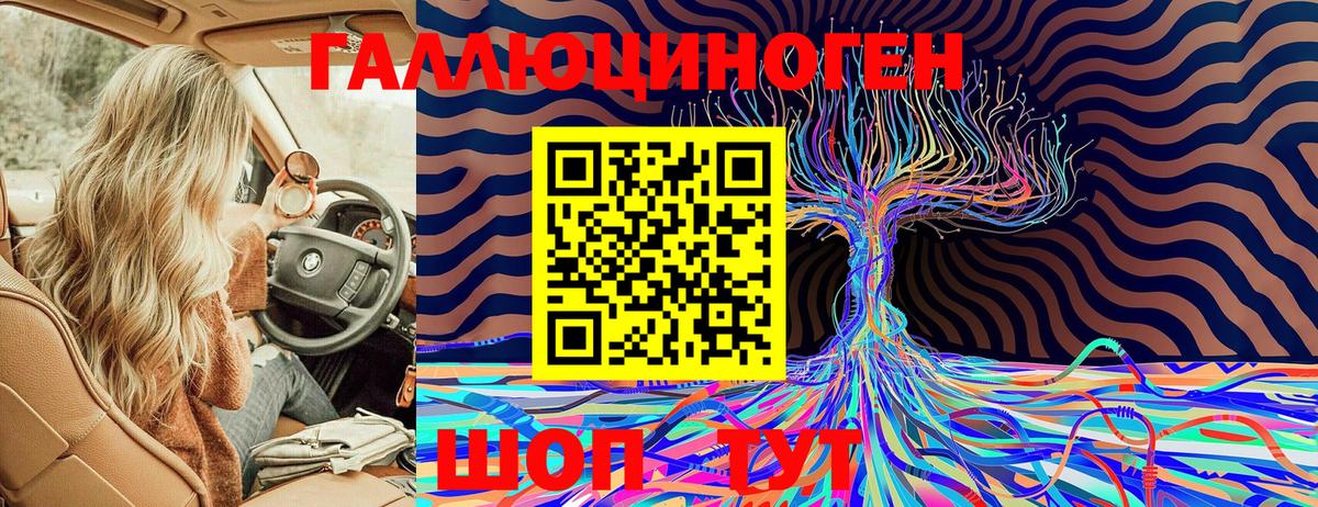 Псилоцибиновые грибы Psilocybine cubensis Зима